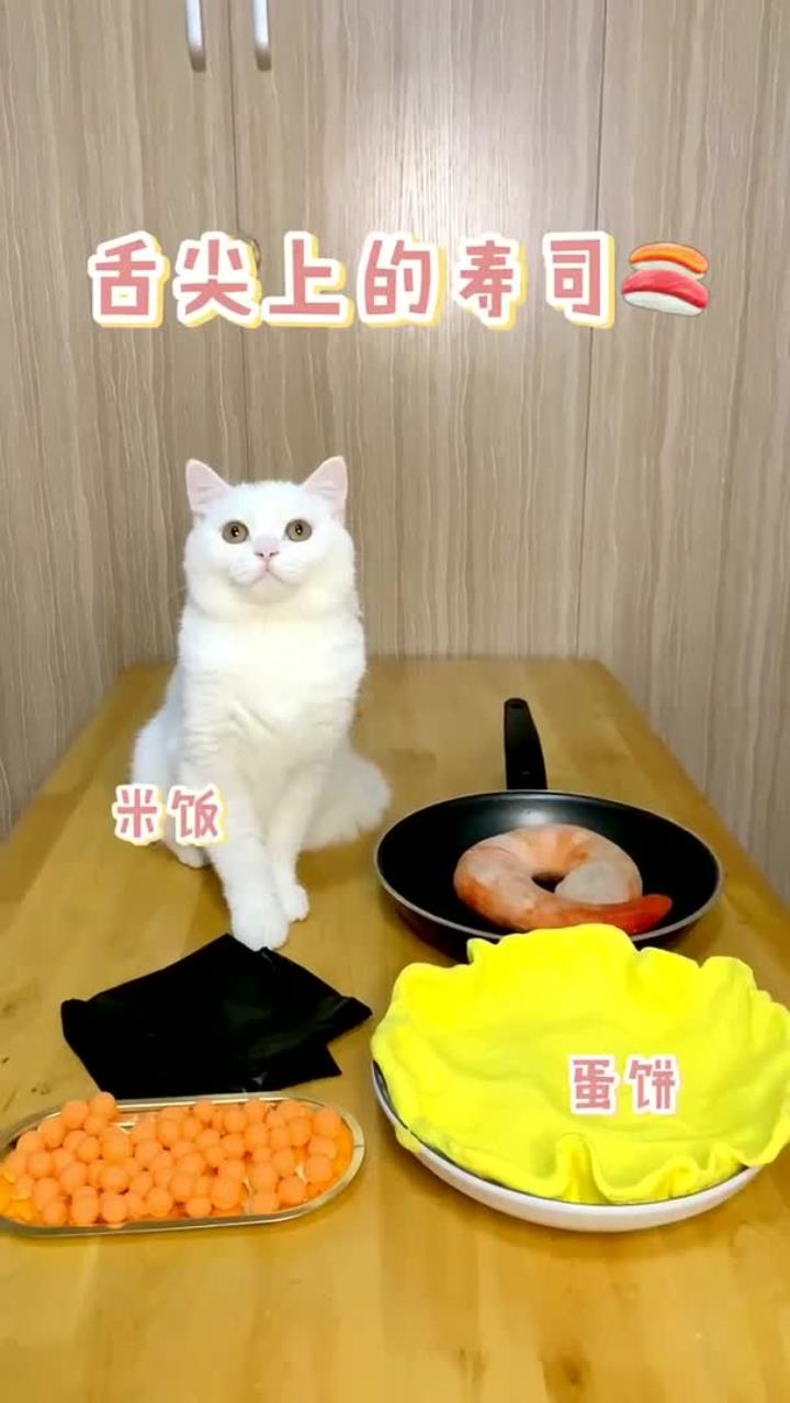 馋哭隔壁小孩系列(9)今天请大家吃寿司拼盘。管饱!
