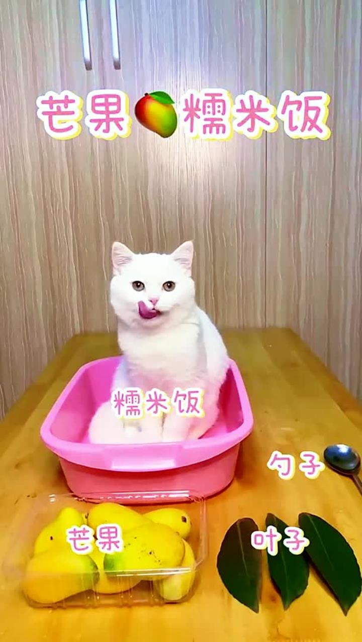 萌宠-馋哭隔壁小孩系列(3)今天是香香软软的泡芙芒果糯米饭