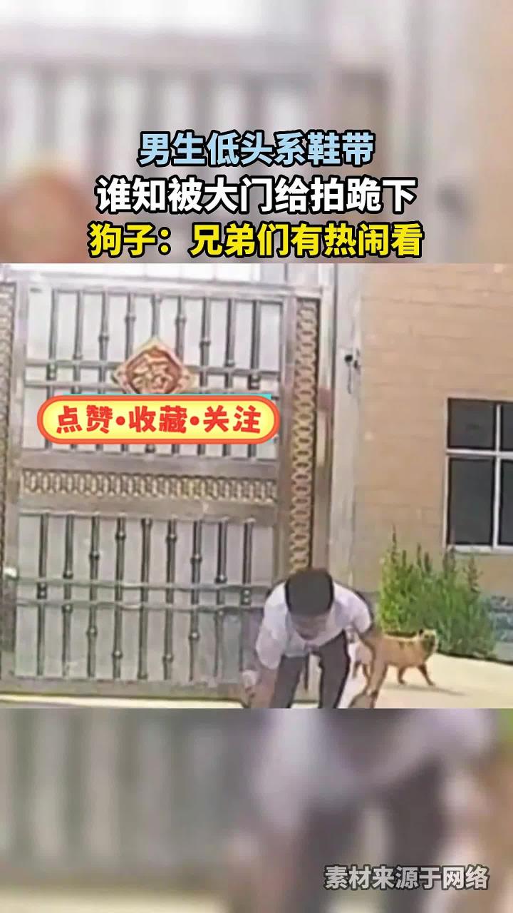 男生低头系鞋带,谁知被大门给拍跪下,狗子:兄弟们有热闹看!