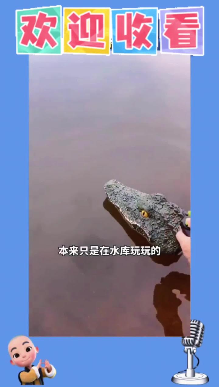 鳄鱼遥控头
