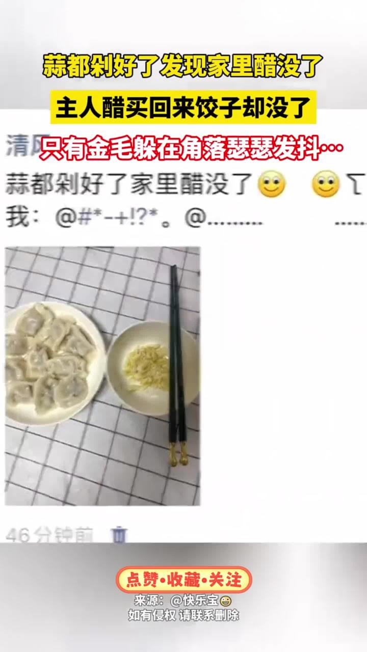 蒜都剁好了,发现家里醋没了,主人买醋回来发现饺子没了,只有金毛在角落瑟瑟发抖