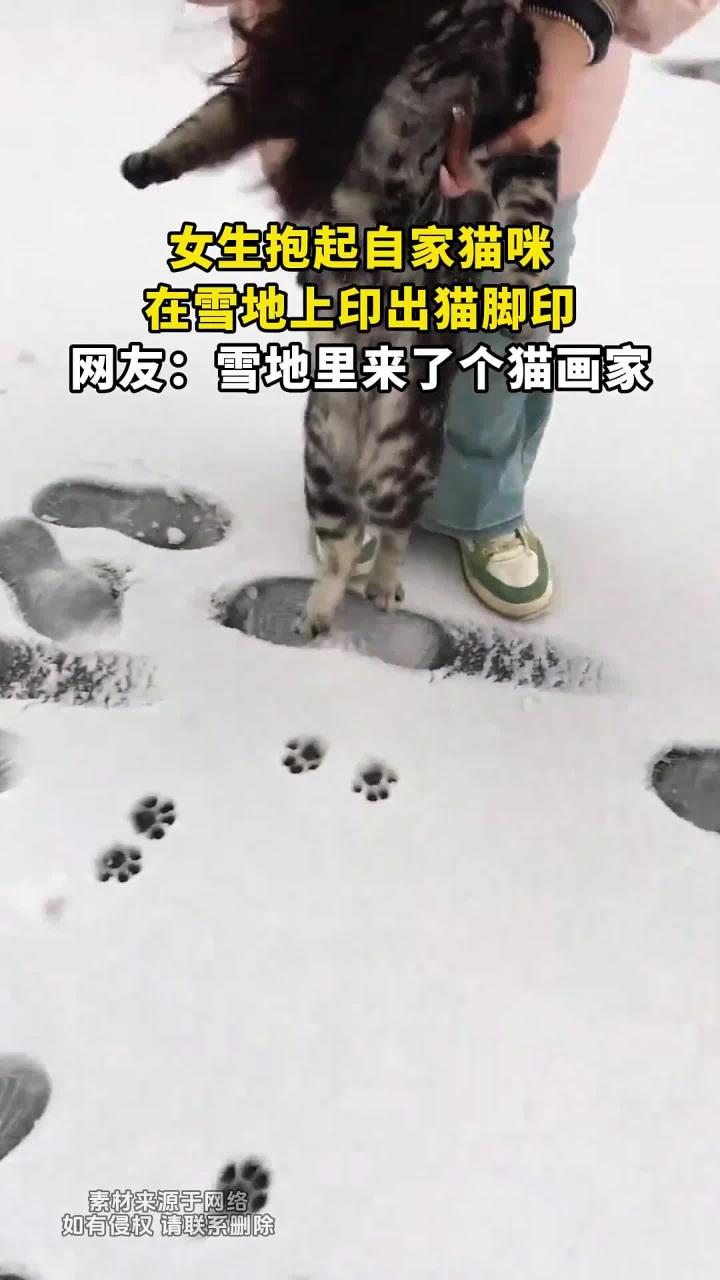 女生抱起自家猫咪,在雪地上印出猫脚印,网友:雪地里来了个猫画家