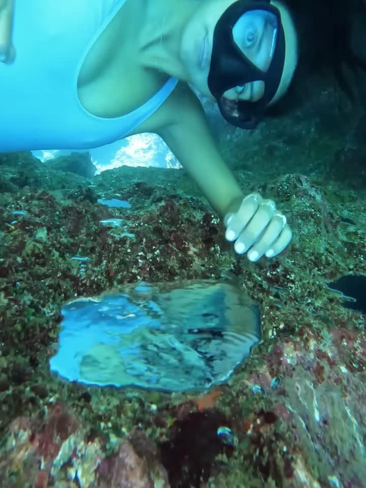 有人给它们起了个浪漫又美丽的名字：美人鱼之镜