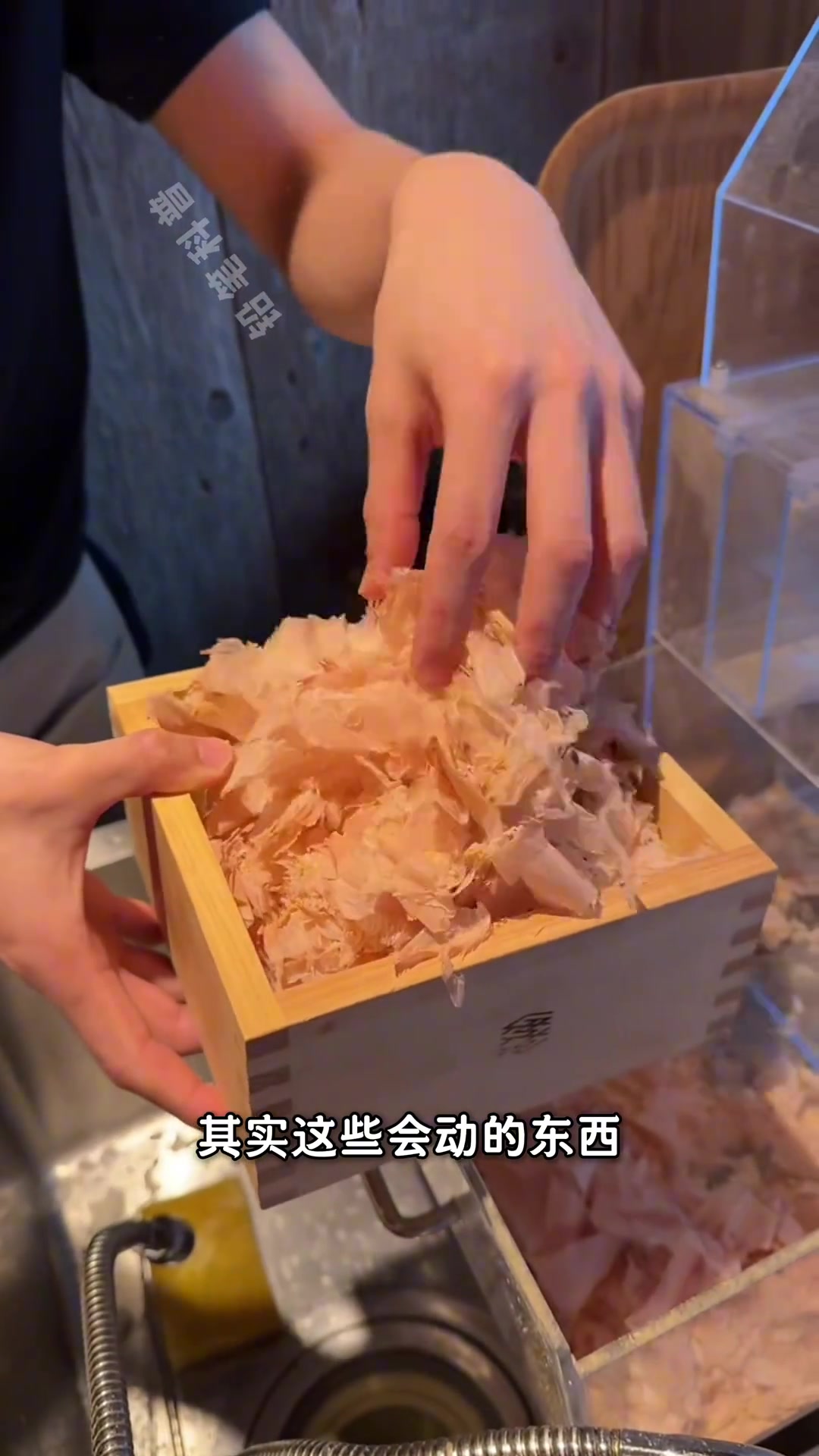 什么是木鱼花？他又为什么会动？