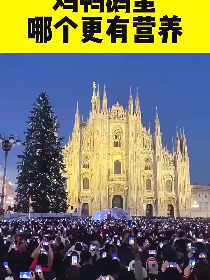 鸡鸭鹅蛋大比拼，到底哪个营养更胜一筹！