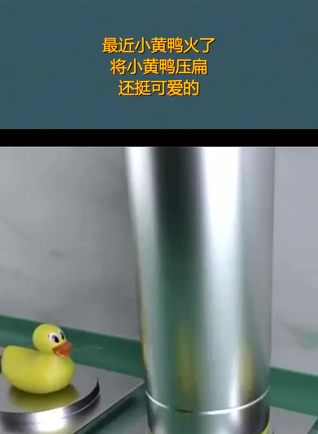 最近小黄鸭火了,将小黄鸭压扁,还挺可爱的!