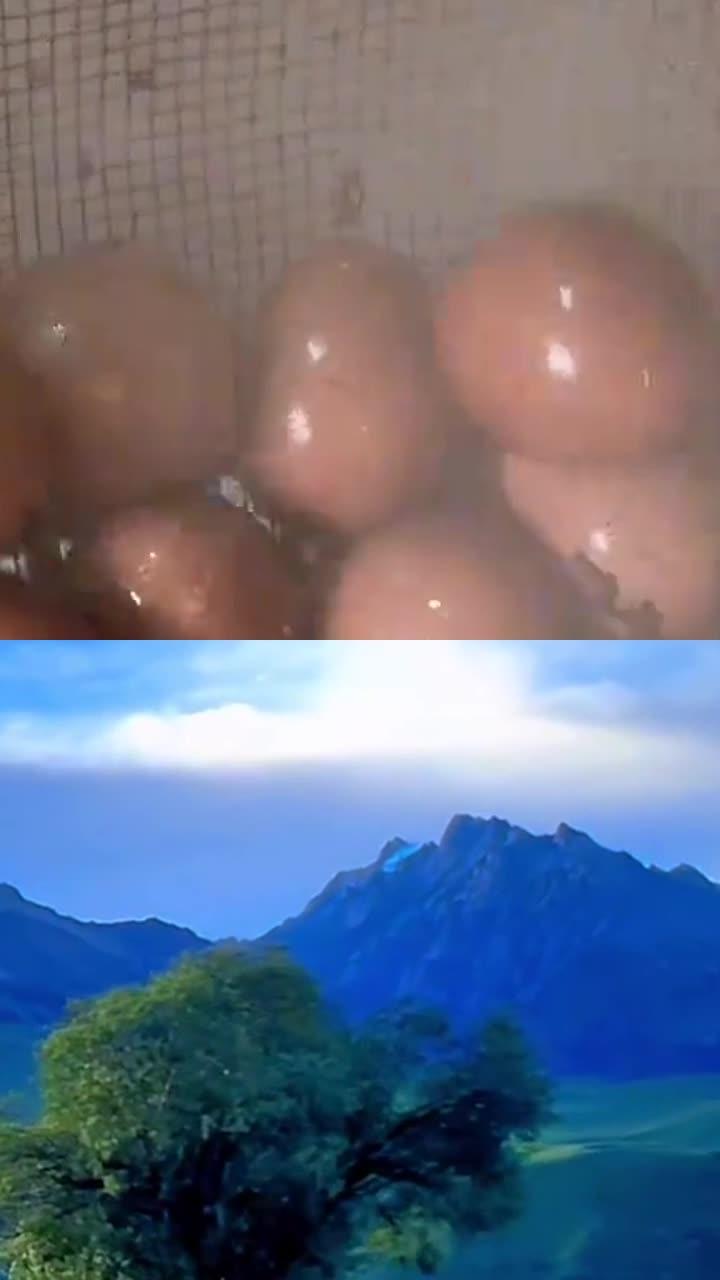 老人养生餐!饭菜 1 锅蒸易消化,营养全更健康