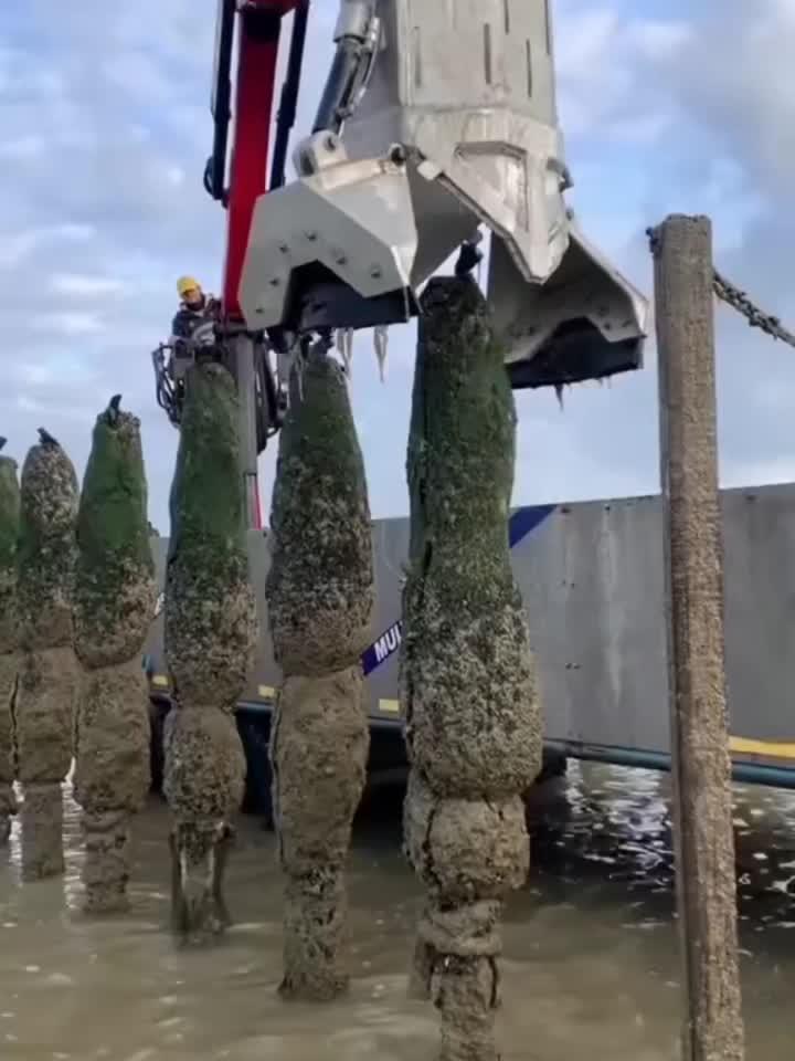 看着柱子上的东西,也不知道是个啥呀