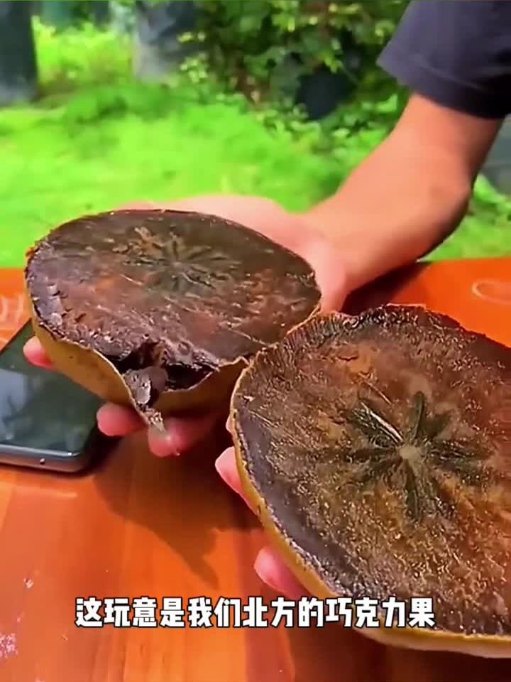 北方的巧克力果,你吃过吗?