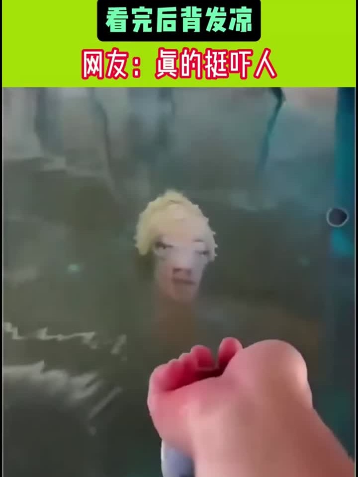 人脸章鱼 看完后背发凉
