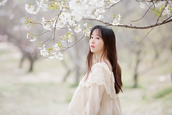 图片[24]-三生三世，百里樱花-六色网