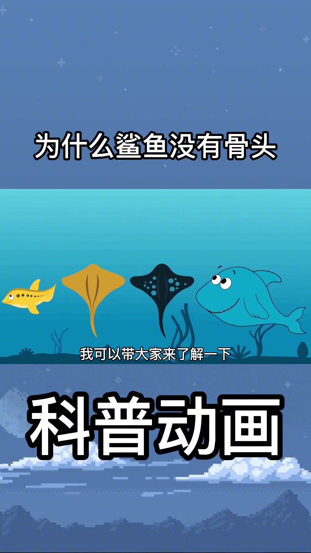 科普小知识：为什么鲨鱼没有骨头？