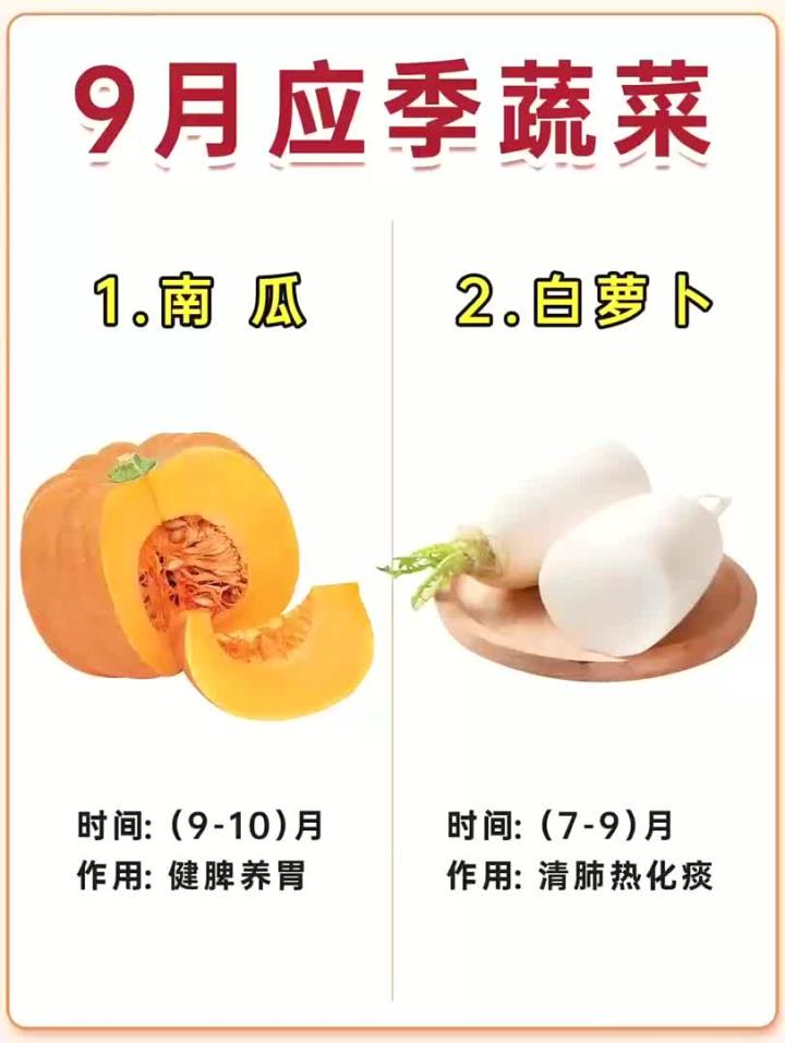 应季蔬菜保健康,您吃对了吗
