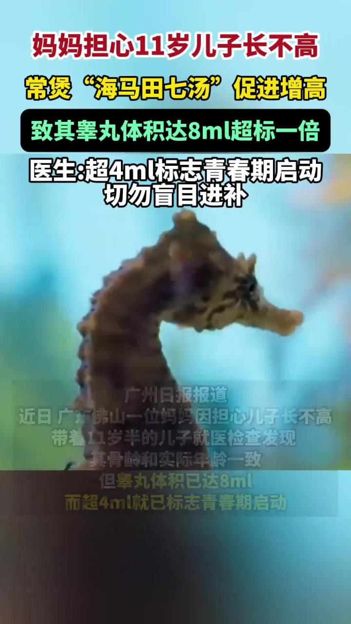 担心儿子长不高，妈妈常煲“海马田七汤”致其睾丸超标一倍！医生：超4ml标志青春期启