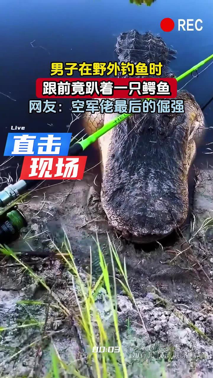 男子在野外钓鱼时,跟前竟趴着一只鳄鱼,网友:空军佬最后的倔强