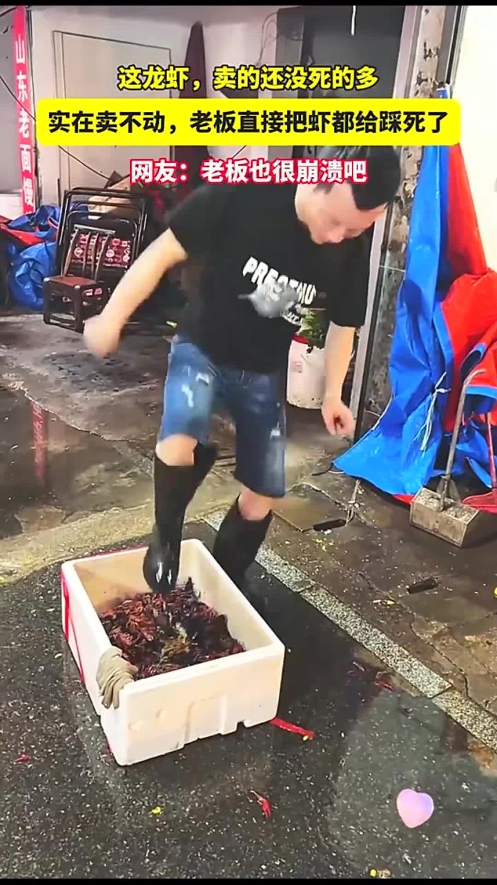 这龙虾，卖的还没死的多，实在卖不动，老板直接把虾都给踩死了
