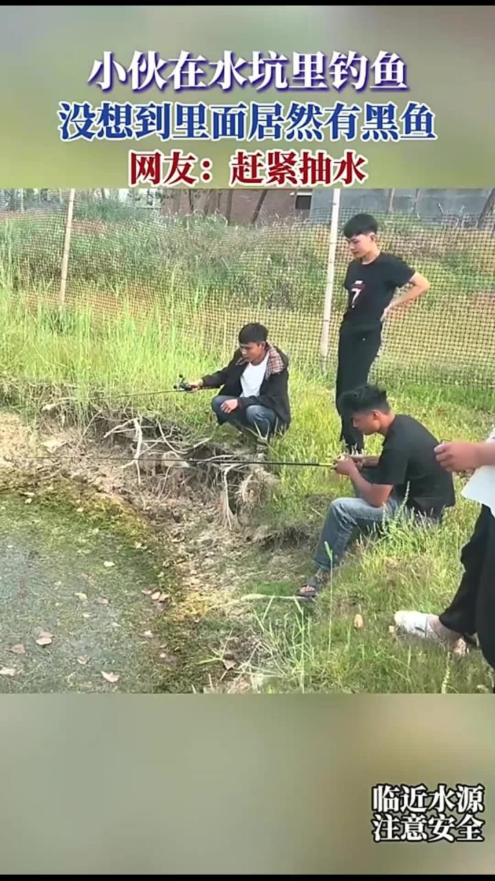 小伙在水坑里钓鱼,没想到里面居然有黑鱼,网友:赶紧抽水