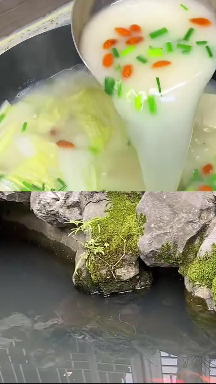 五谷鲜蔬粥，温润养生超舒胃
