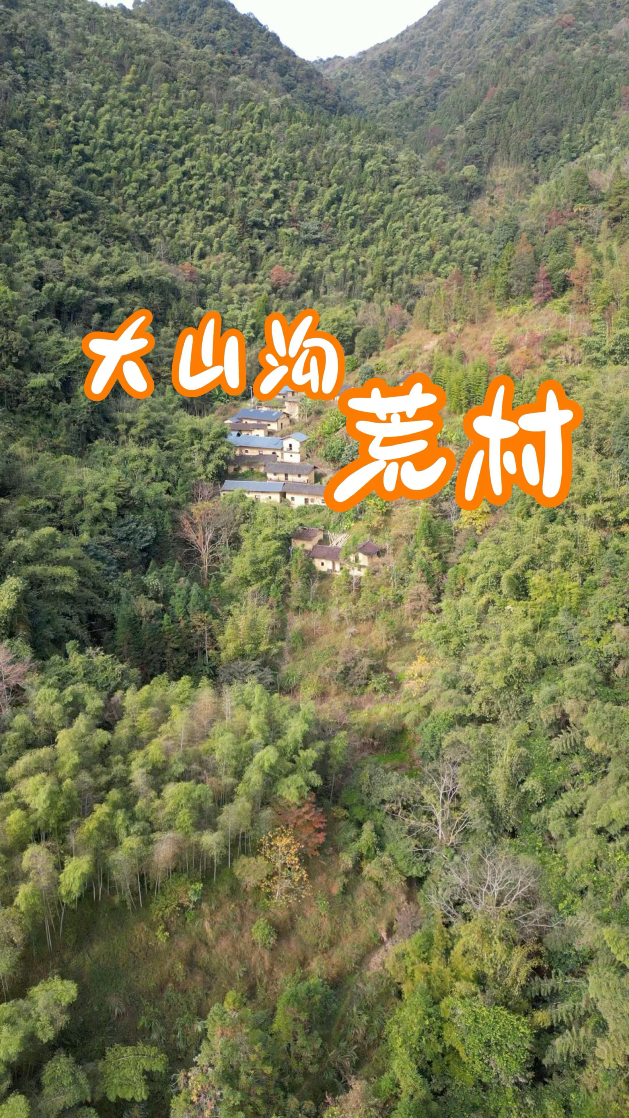 粤北山沟里的无人村,长满野青菜跟水果无人问津