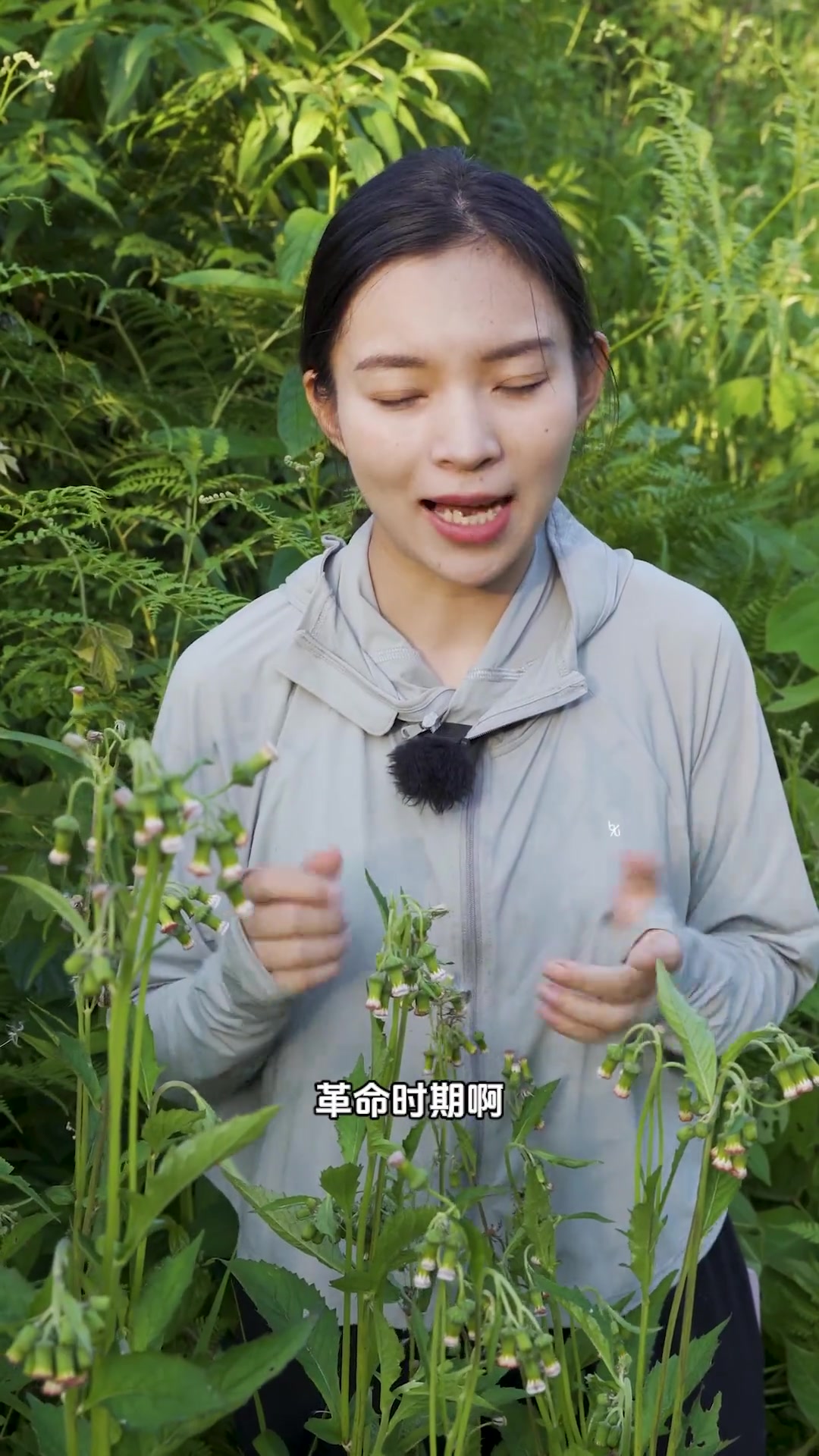 野茼蒿还挺好吃的，有没有吃过的朋友？感觉这种带特殊气味的野菜都备受争议！