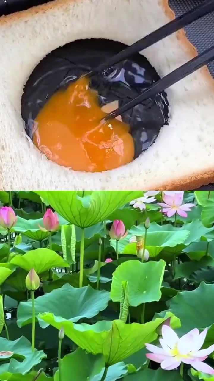 一口沦陷!老家柴火炖的豆腐汤,鲜醇软嫩,养胃超适配