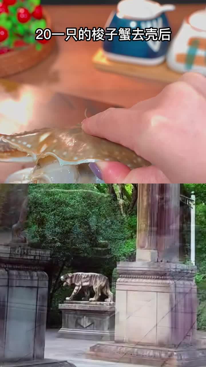 一口沦陷!奶奶 1 锅蒸大锅时蔬拼盘,8 分钟锁鲜,营养超全面