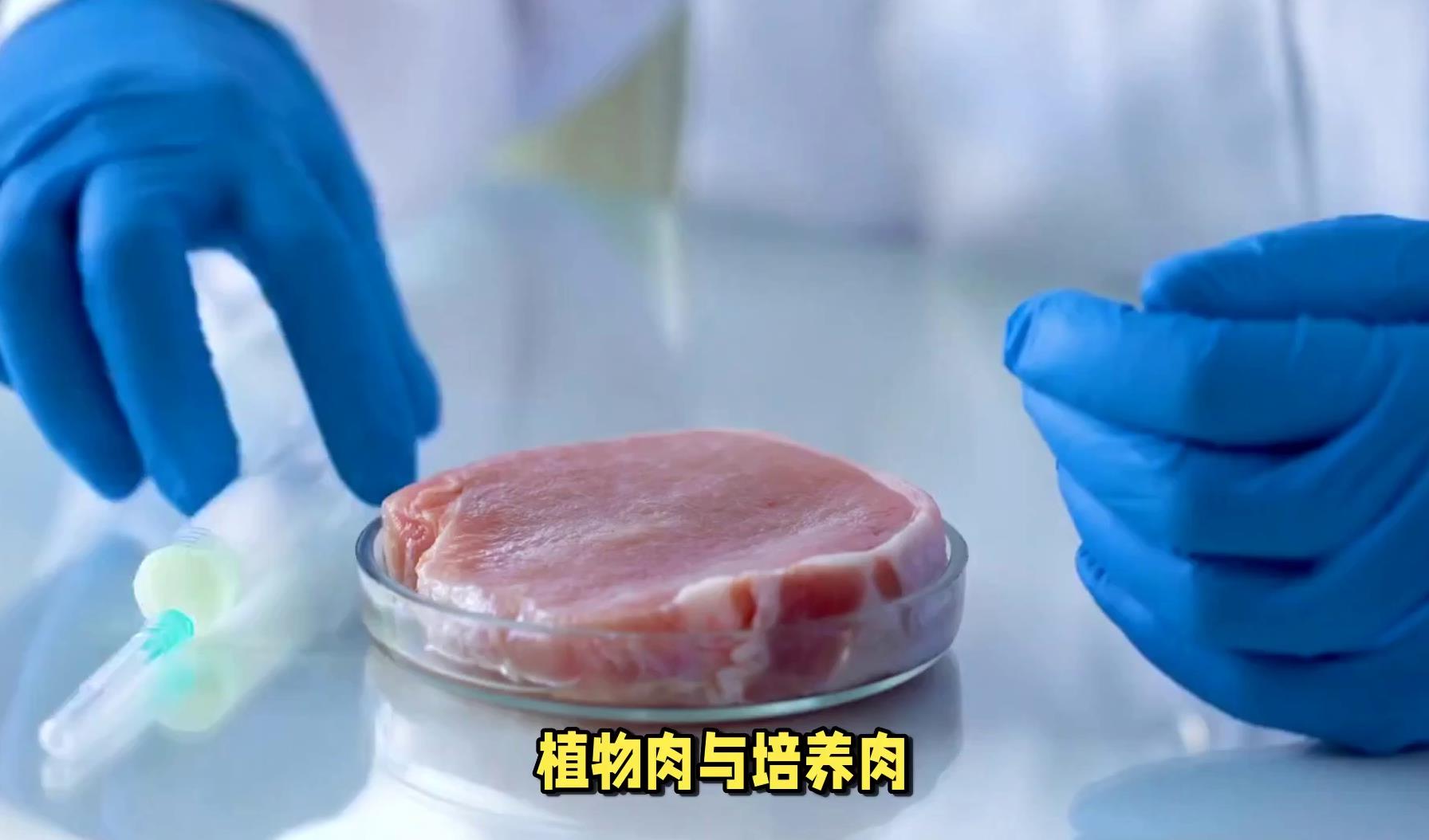 从植物肉到培养肉:探索人造蛋白的发展与挑战