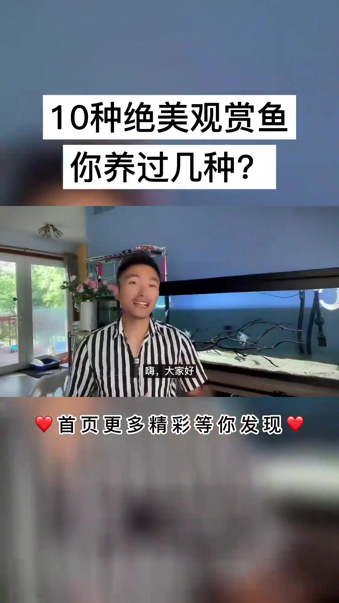 天！我喜欢的10种淡水观赏鱼，今天全部推荐给你，立刻养起来