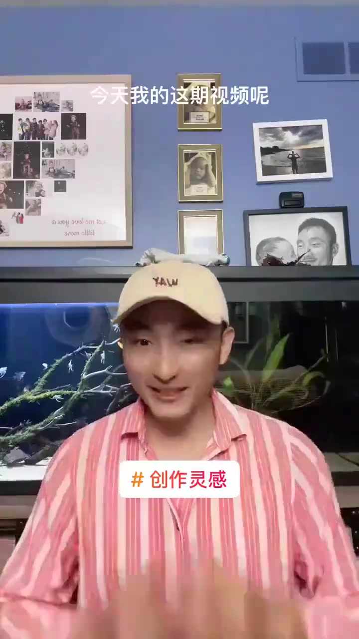 观赏鱼饲养4要点送给大家