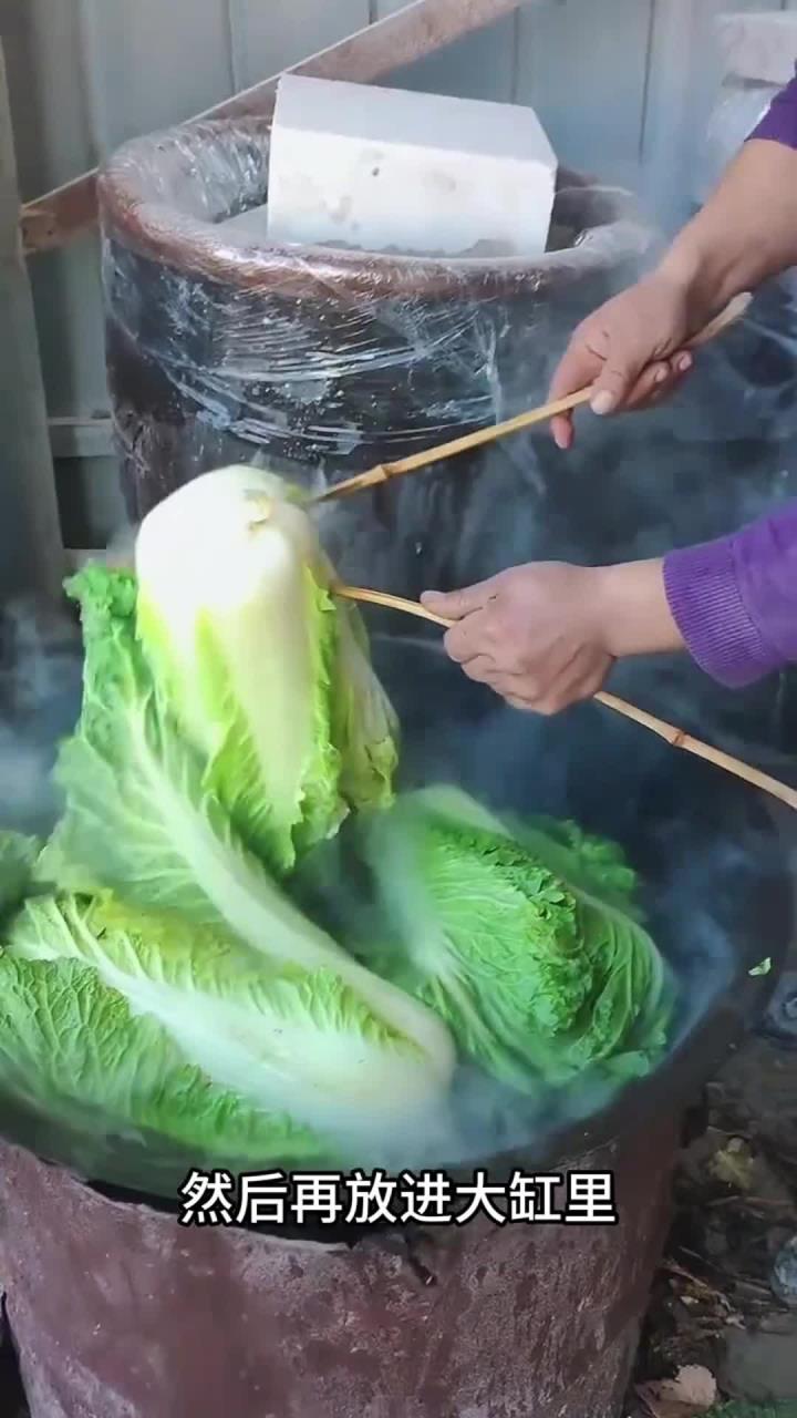 又到了腌制冬菜的季节了