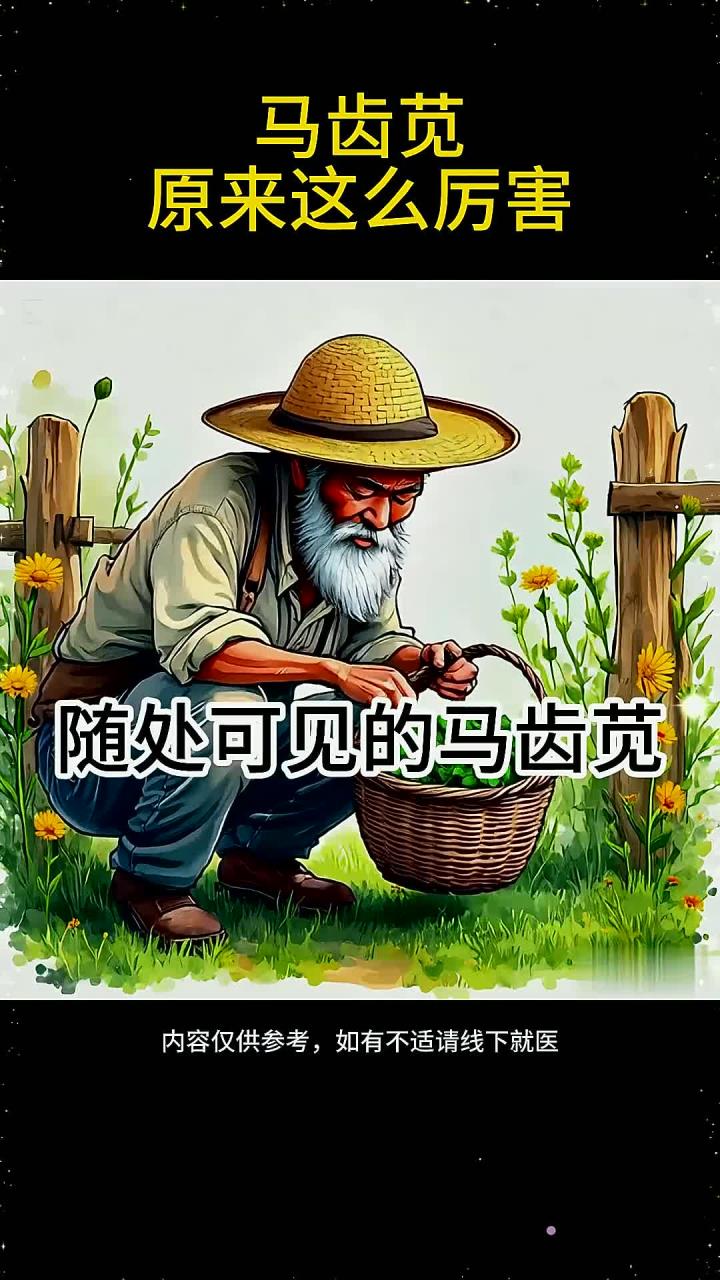 养生系-马齿苋的作用原来这么大养生知识马齿苋的功效健康饮食养生