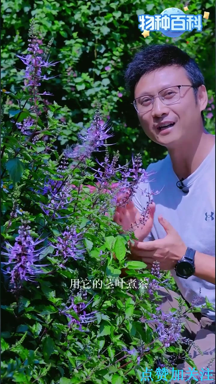 实力与颜值并存的小花，你在野外见过吗