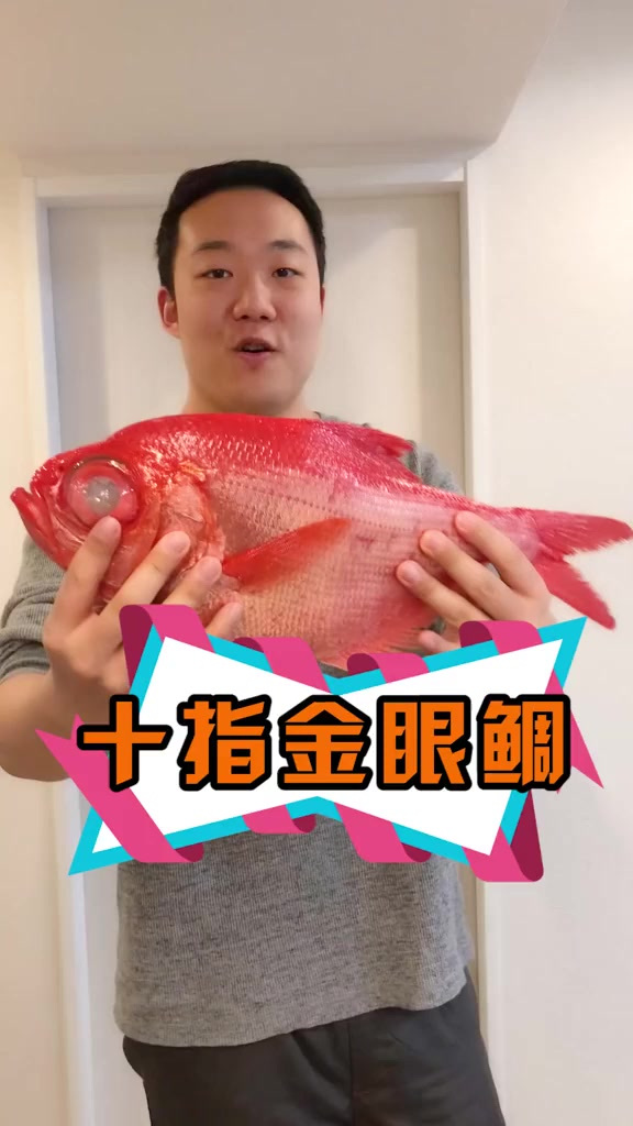 深海鲷鱼！明明互相都看不见为啥还要长的这么好看？