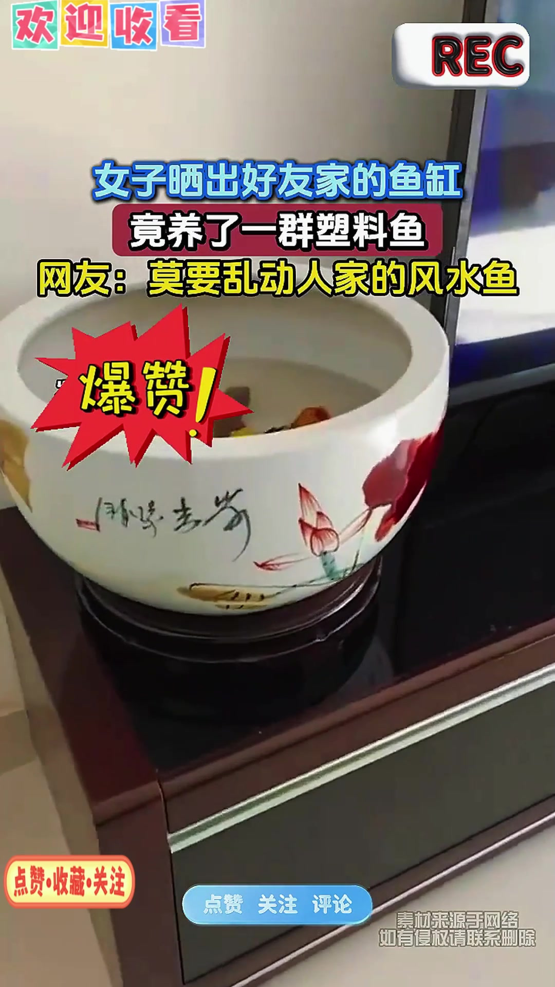 女子晒出好友家的鱼缸，竟养了一群塑料鱼，网友：莫要乱动人家的