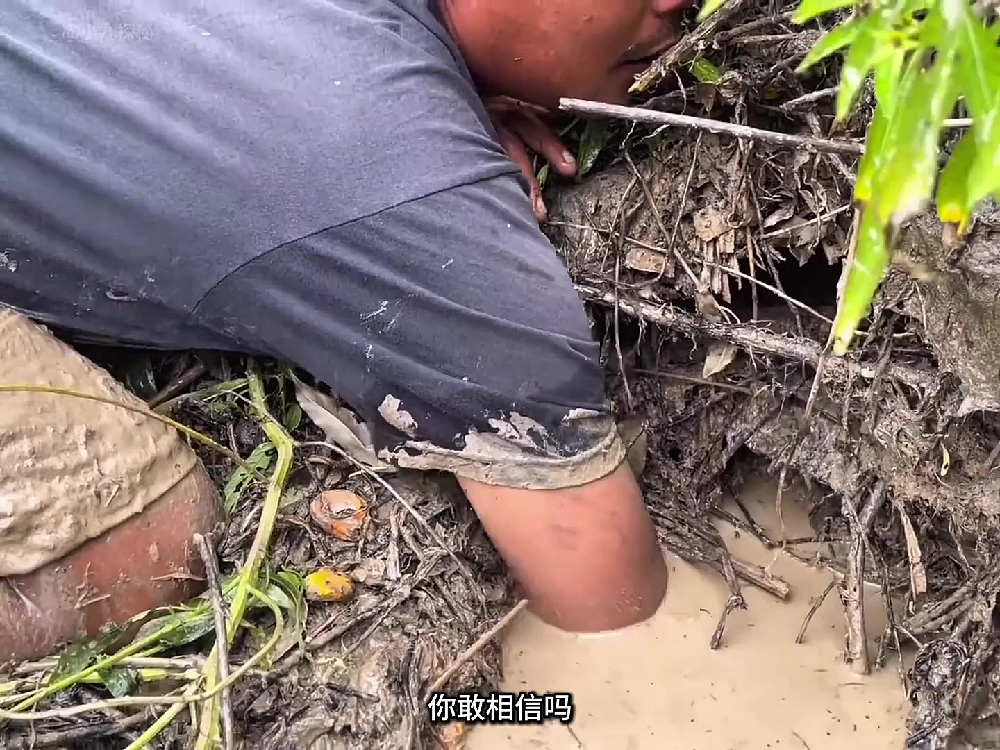 印尼老兄光脚踩沼泽地,徒手抓鱼还一抓一个准,简直像开挂了