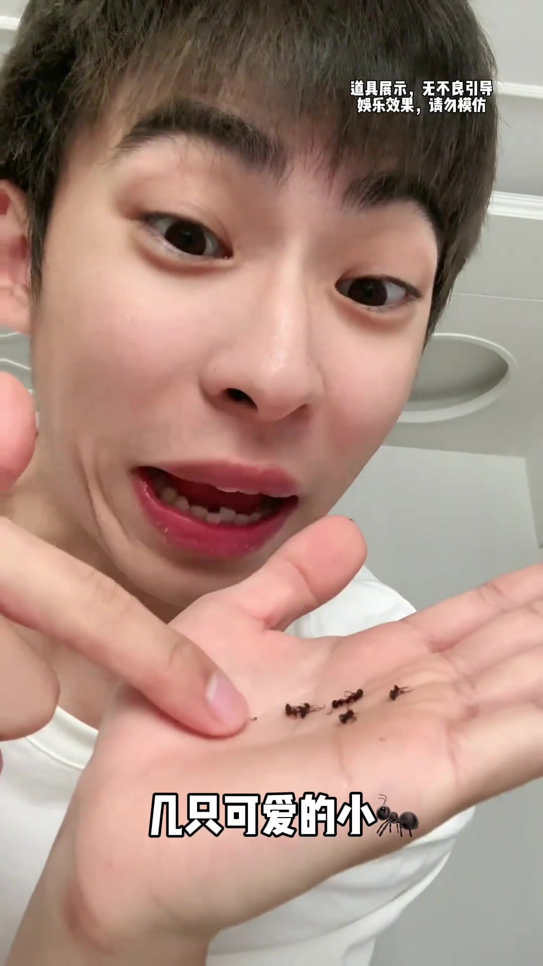 我不吃长白山黑蚂蚁你们难受是吧？