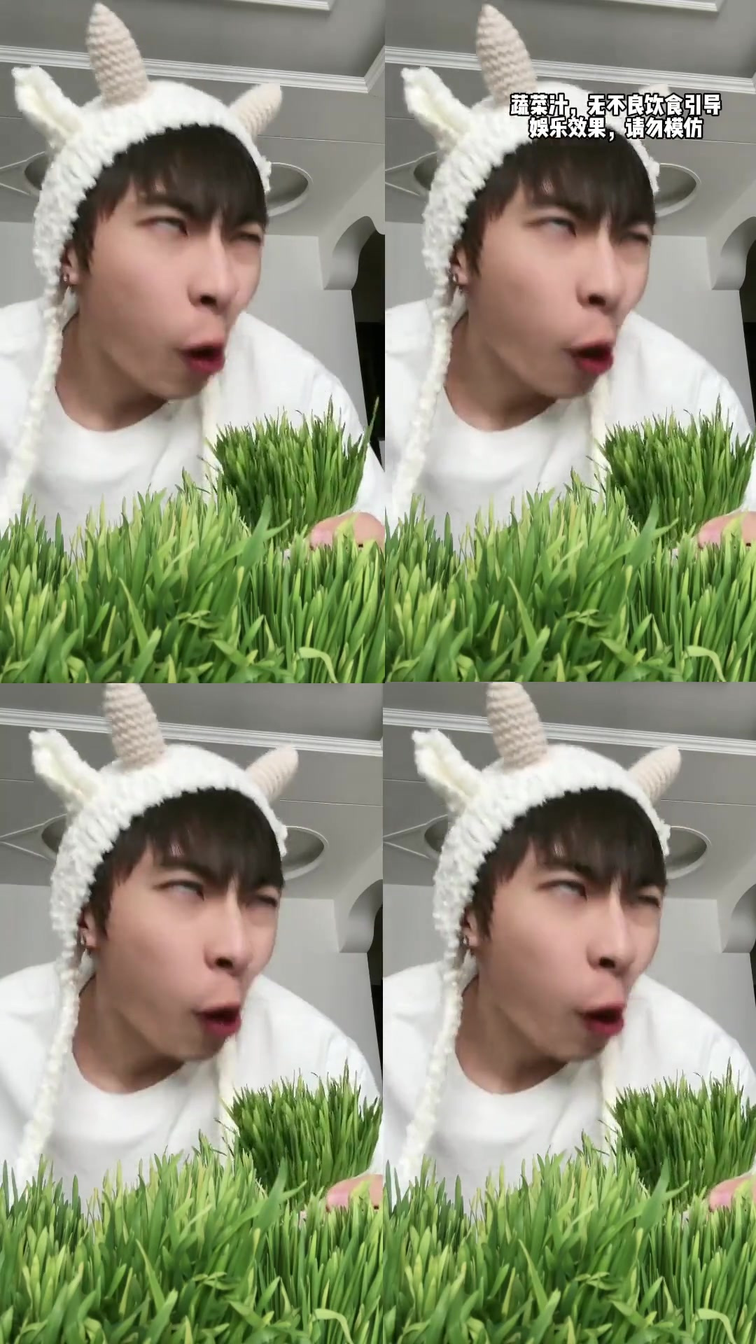 懒羊羊同款青草蛋糕