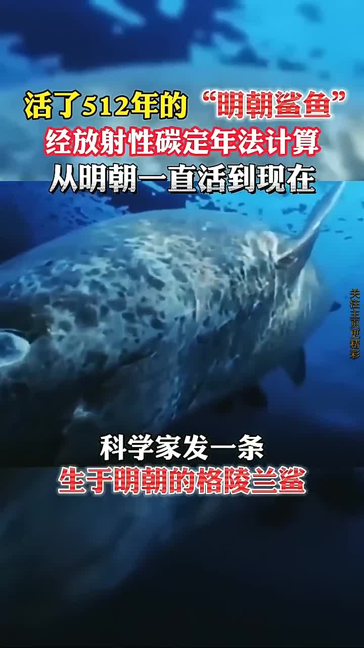 科学家发现一条古老鲨鱼,竟然活了超过512年