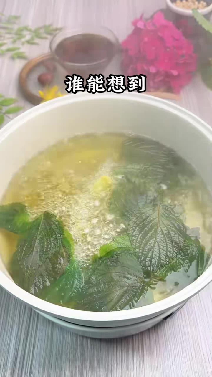 紫苏生姜水老祖宗的智慧 食疗小妙招 喝出好气色 暖身汤 美食创作人