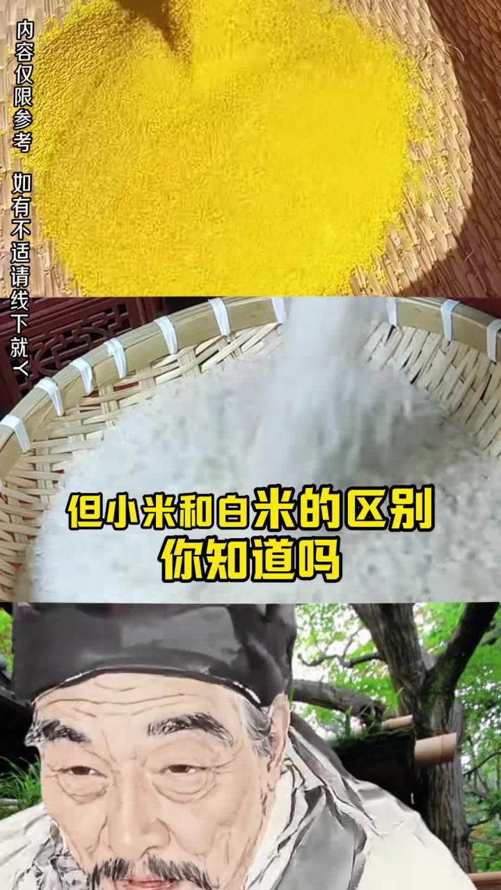 夏季喝这两个粥是有区别的 白米粥 小米粥 养生知识养胃粥 排毒养生