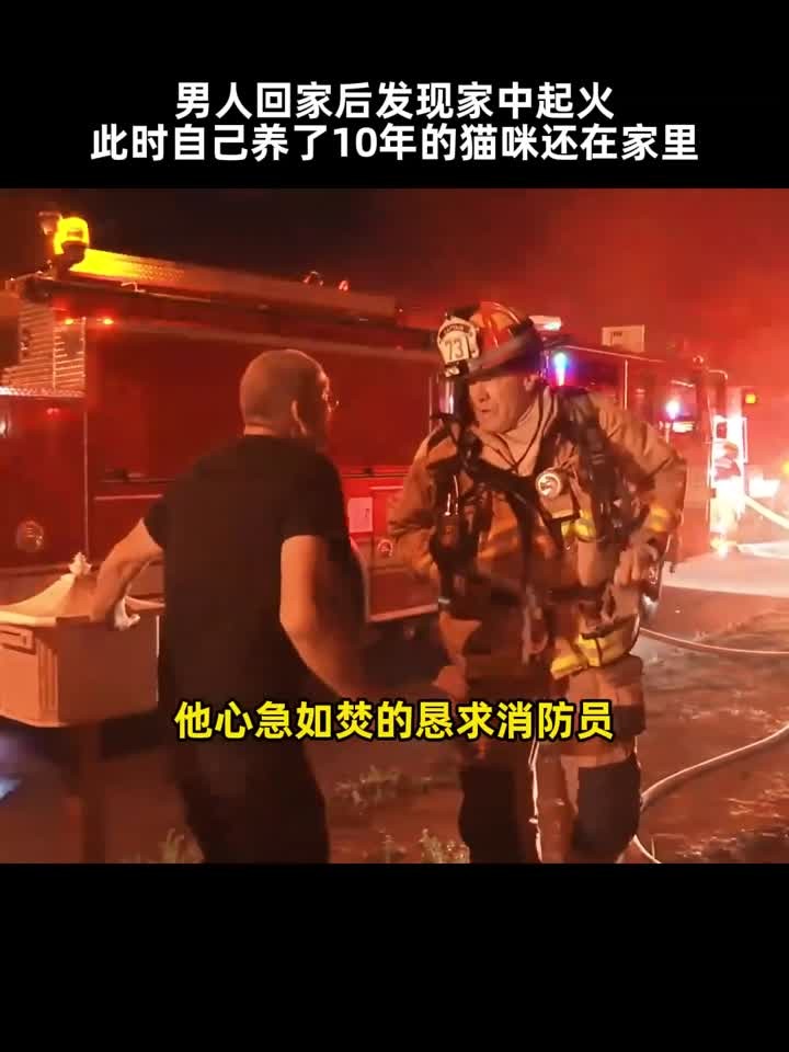 男子回家发现独居的家里起火,最担心的是他养了10年的猫