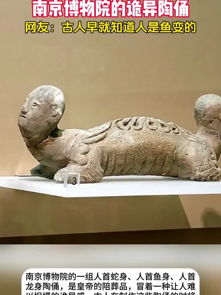 南京博物院的诡异陶俑,美人鱼竟然有男的,古人早知道人是鱼变的