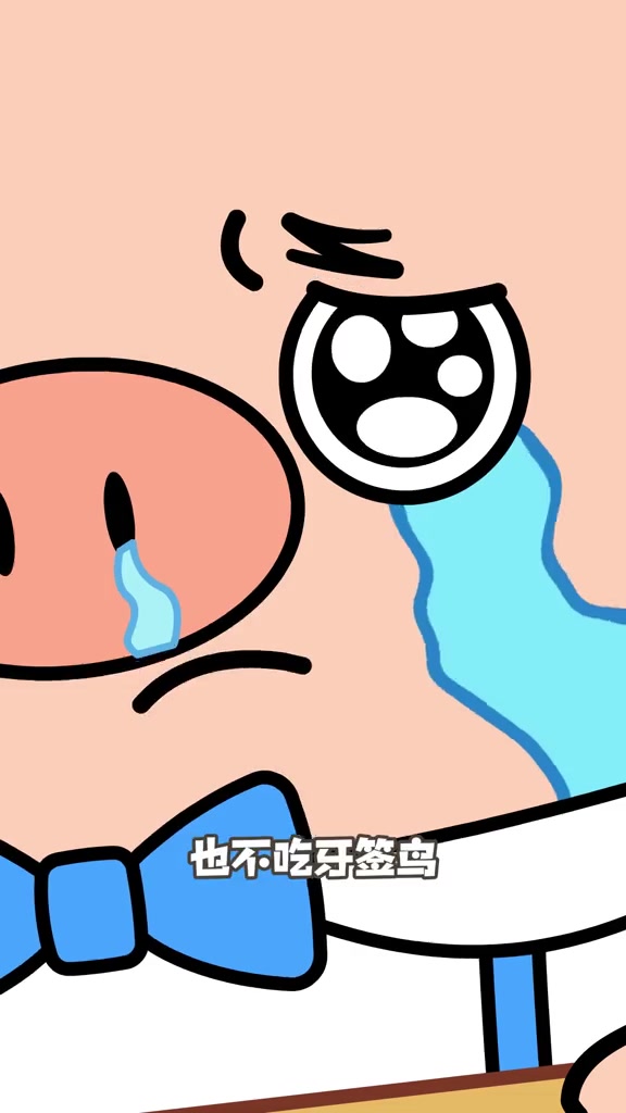 鳄鱼和牙签鸟竟然是假CP？！