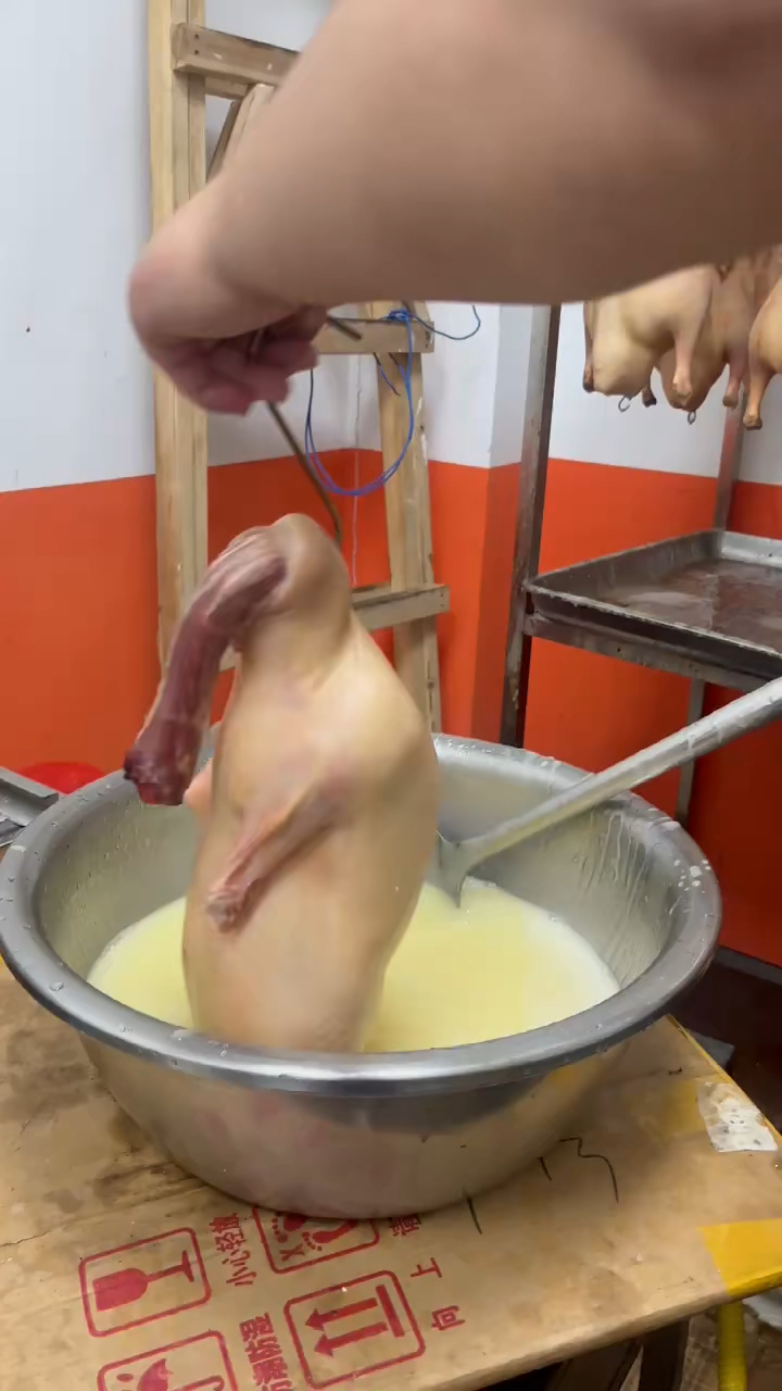 挂个脆皮糊烤鸭子