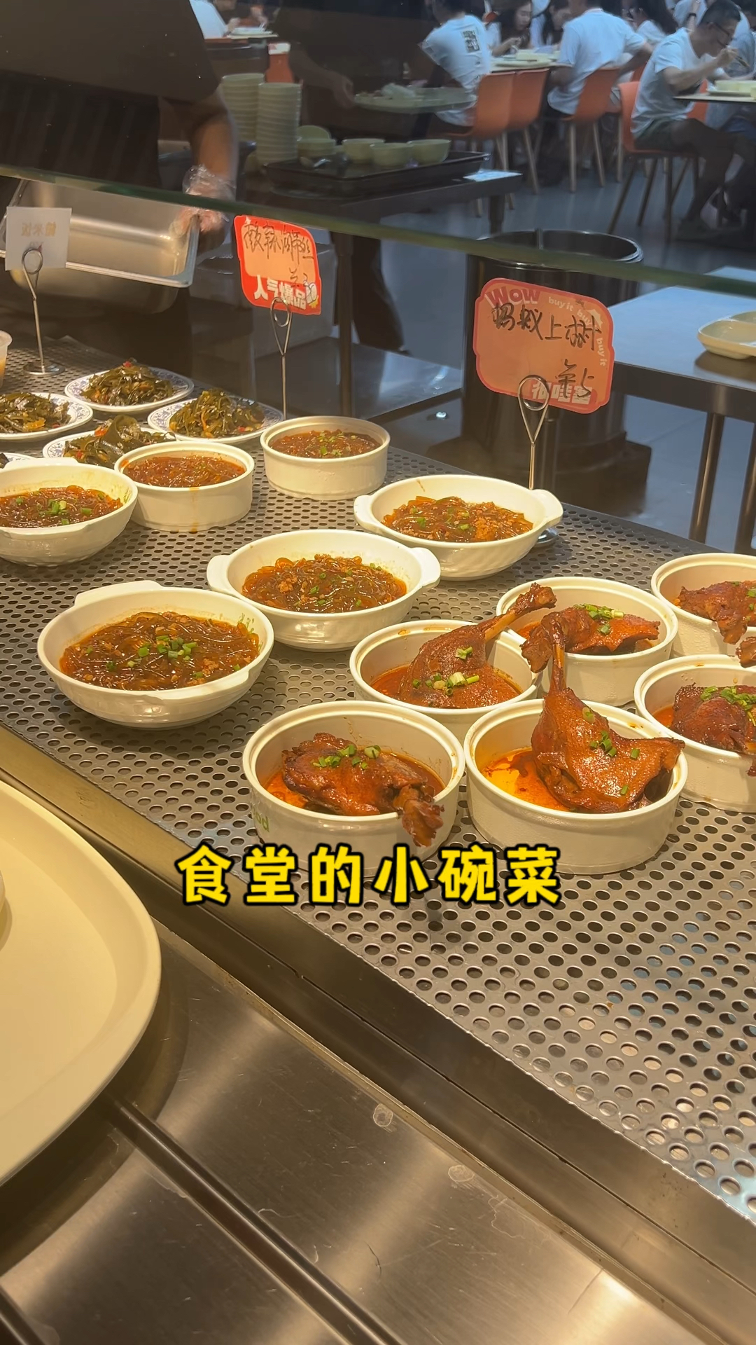 食堂小碗菜,你们觉得咋样