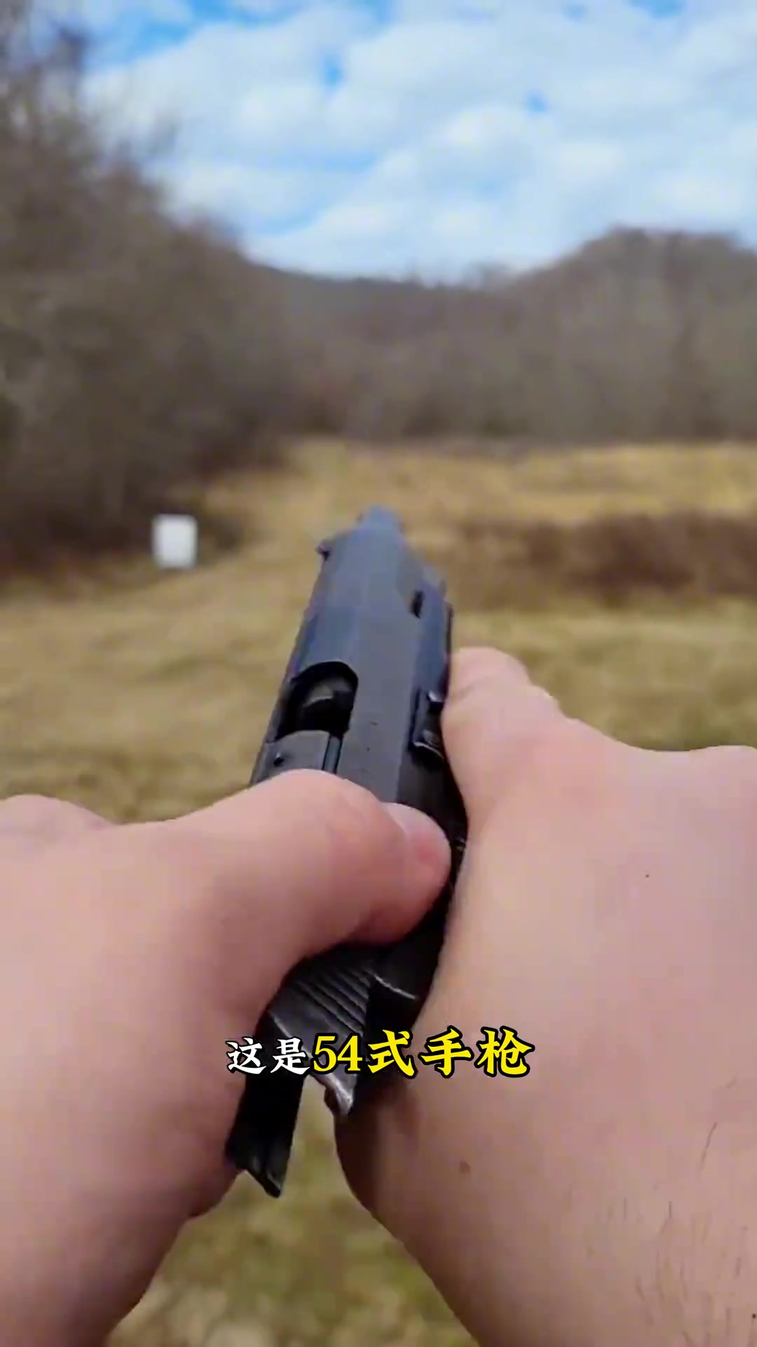 带你认识手枪型号