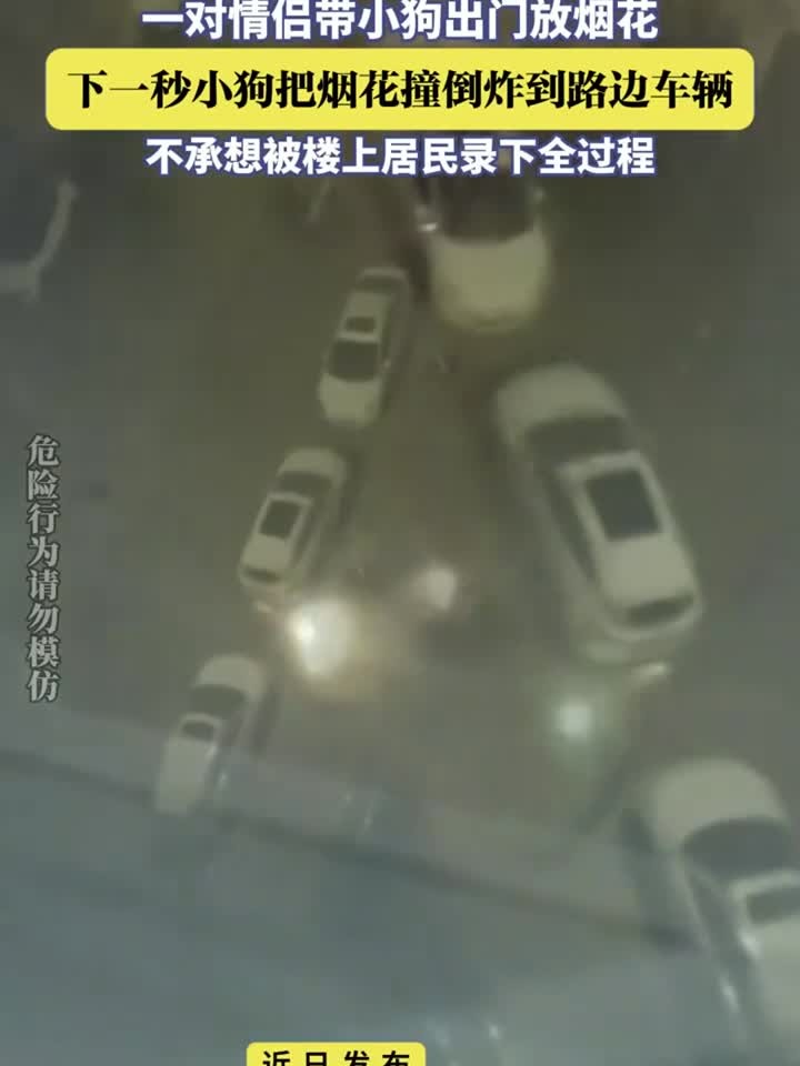 一对情侣带小狗出门放烟花，下一秒小狗把烟花撞倒炸到路边车辆，