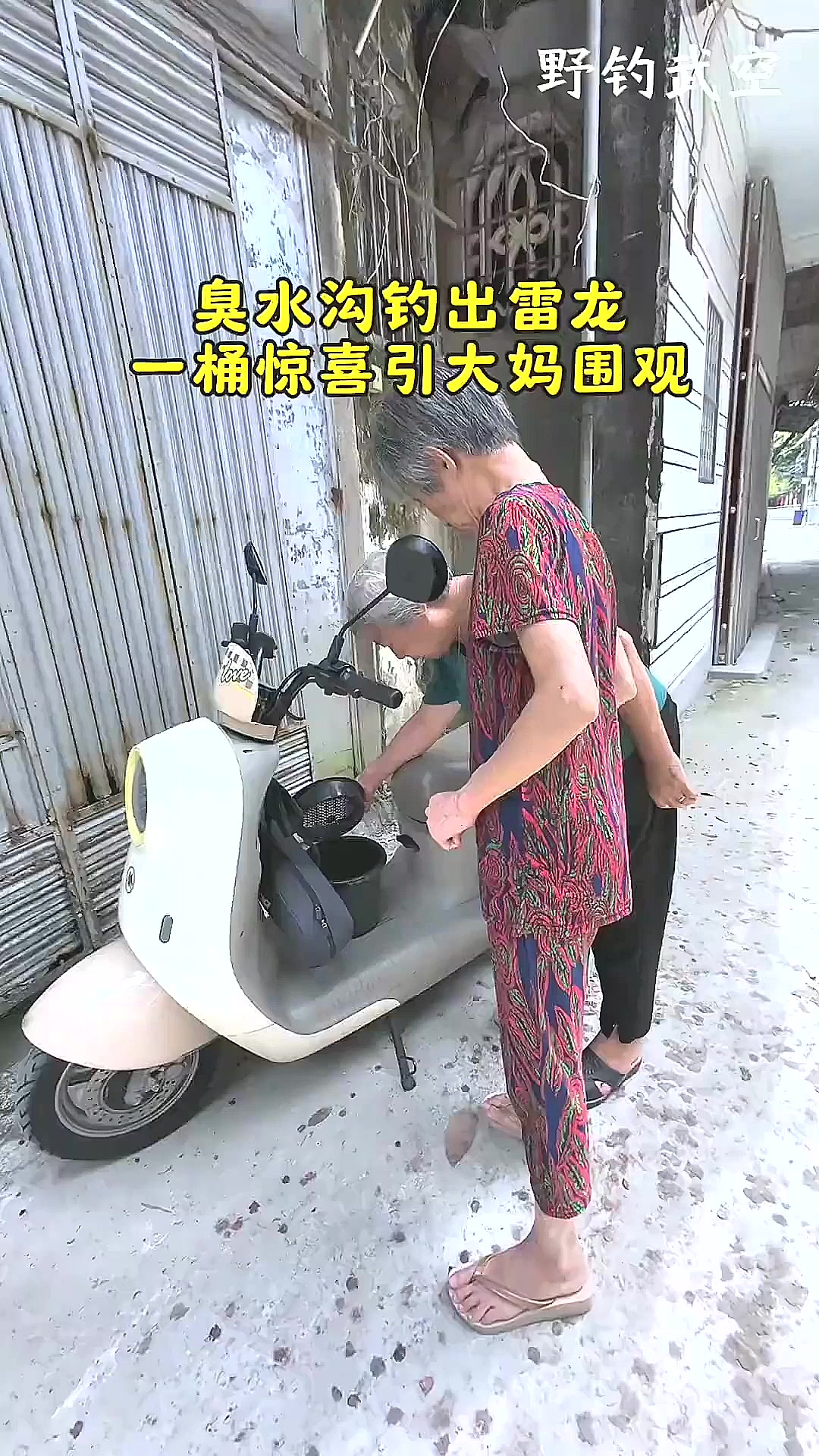 臭水沟竟钓出雷龙!大妈们难以置信都来围观 路亚 路亚雷龙 疯