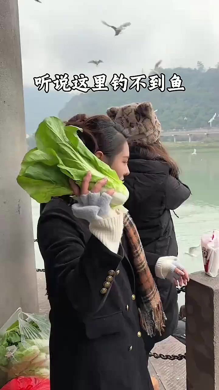 钓友们,调几钓几,用什么饵料