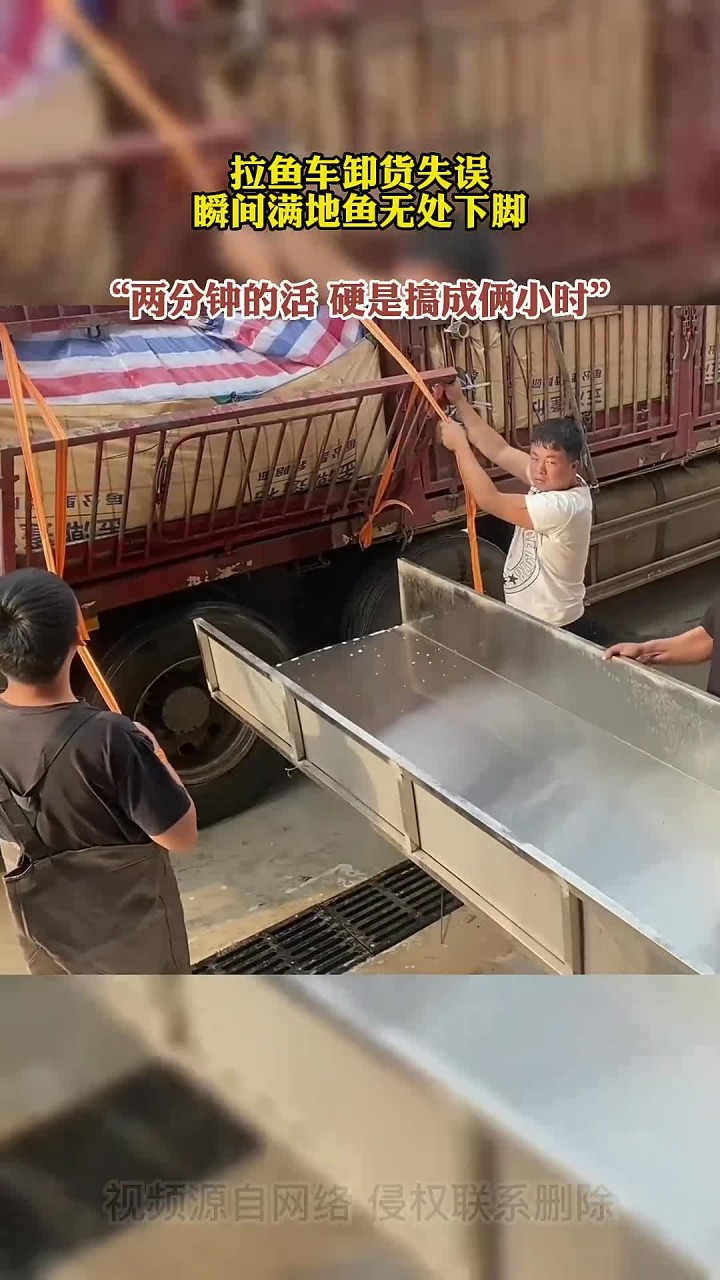 拉鱼车卸货失误,瞬间满地鱼无处下脚